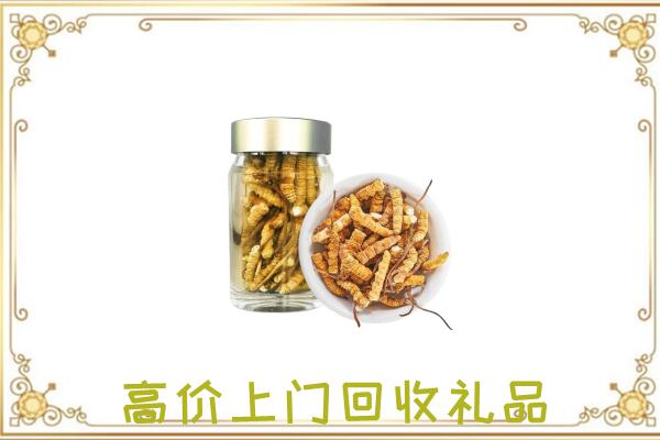 兴安盟周边回收虫草